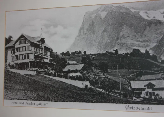 3-Sterne-Hotel: Hotel Restaurant Alpina
